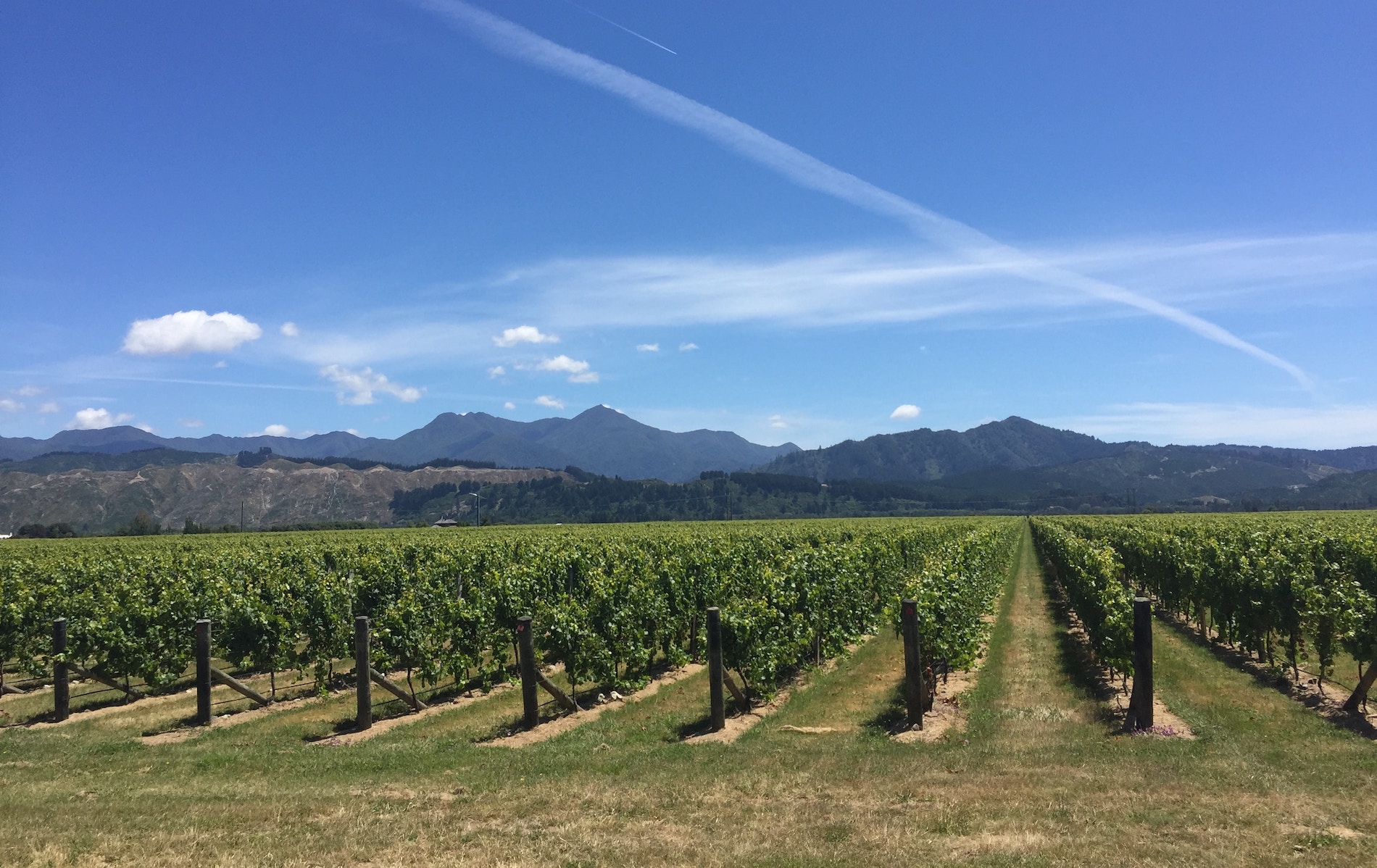 New Zealand with Cameron Douglas