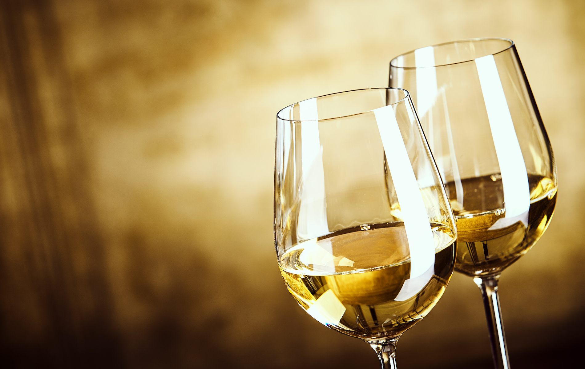 Tasting with MS Jackson Rohrbaugh