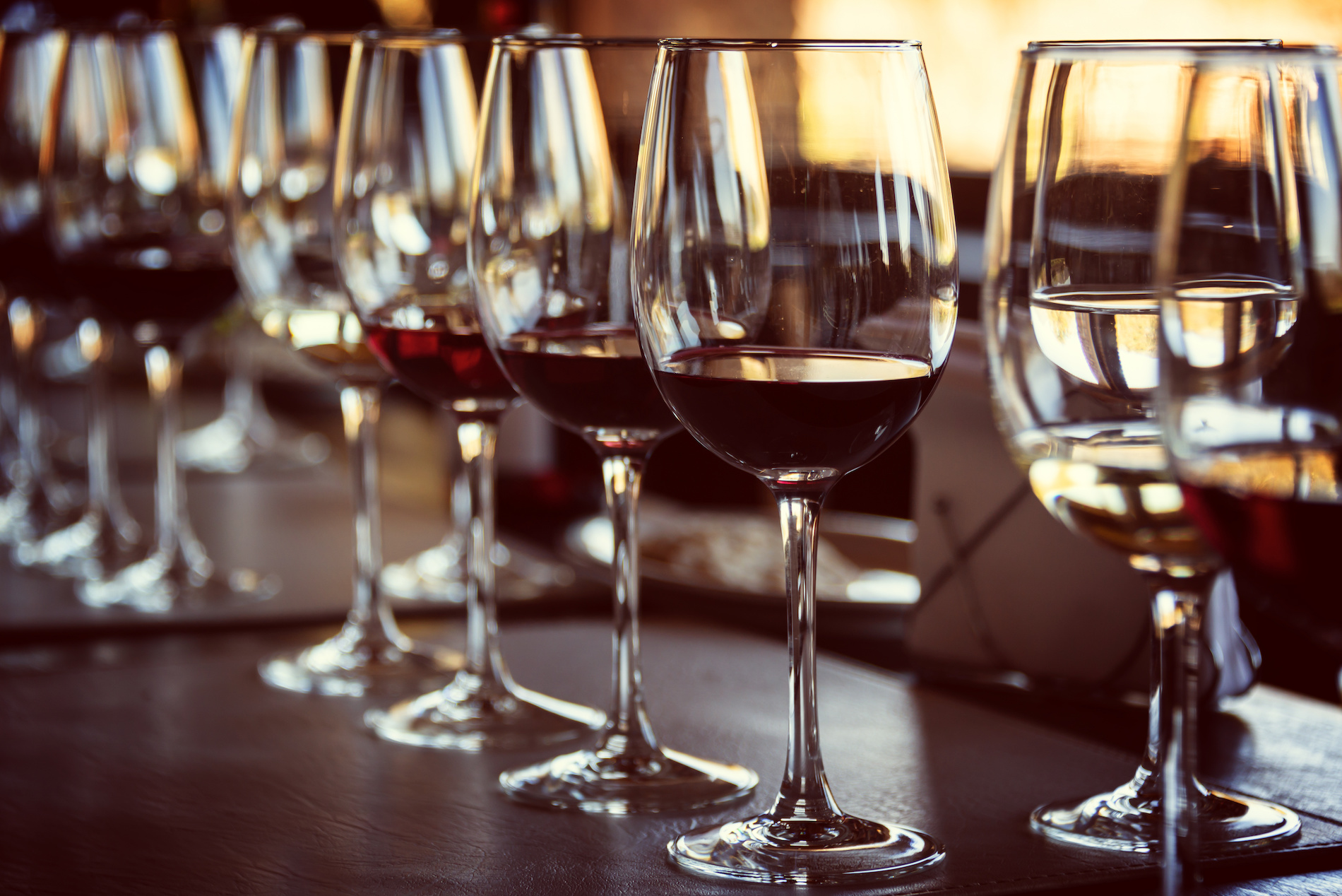 Tasting with Tori Testa
