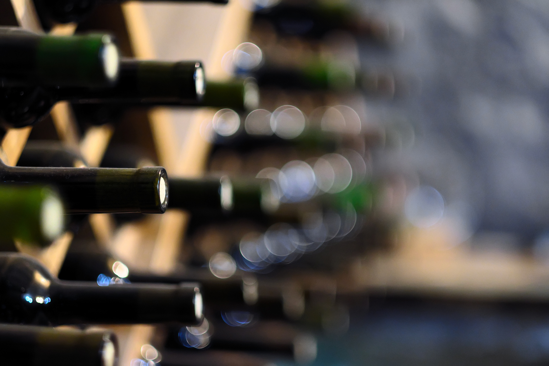 Studying Vintages with MS Jonathan Eichholz
