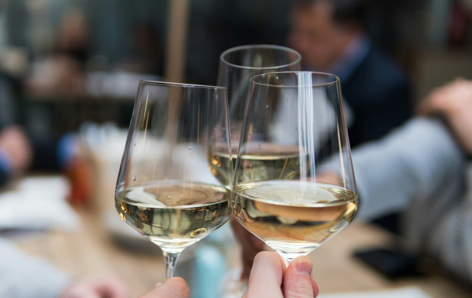 Tasting with Mark Guillaudeu and Chris Gaither
