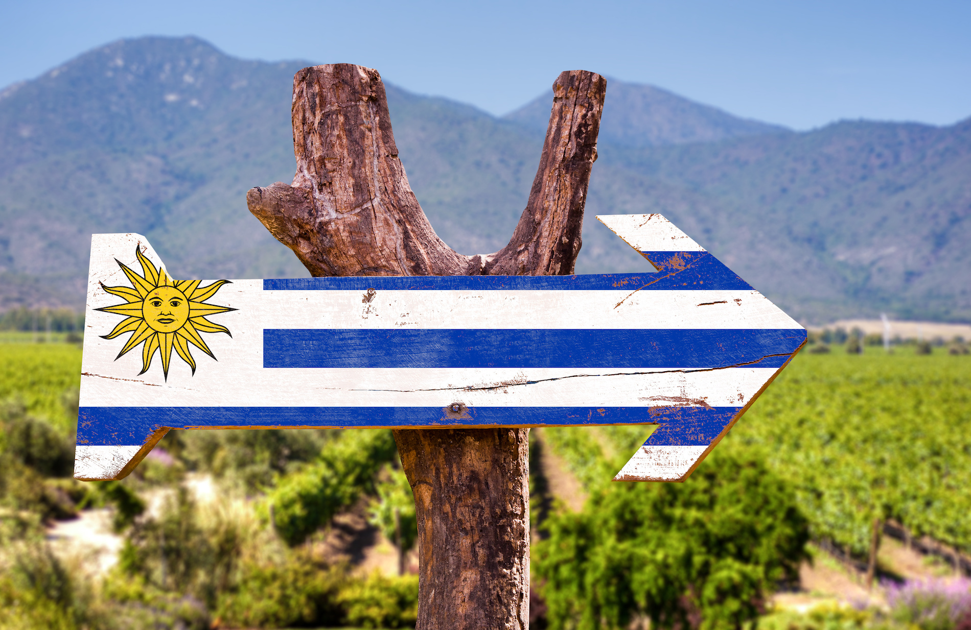 Uruguay with Santiago Deicas