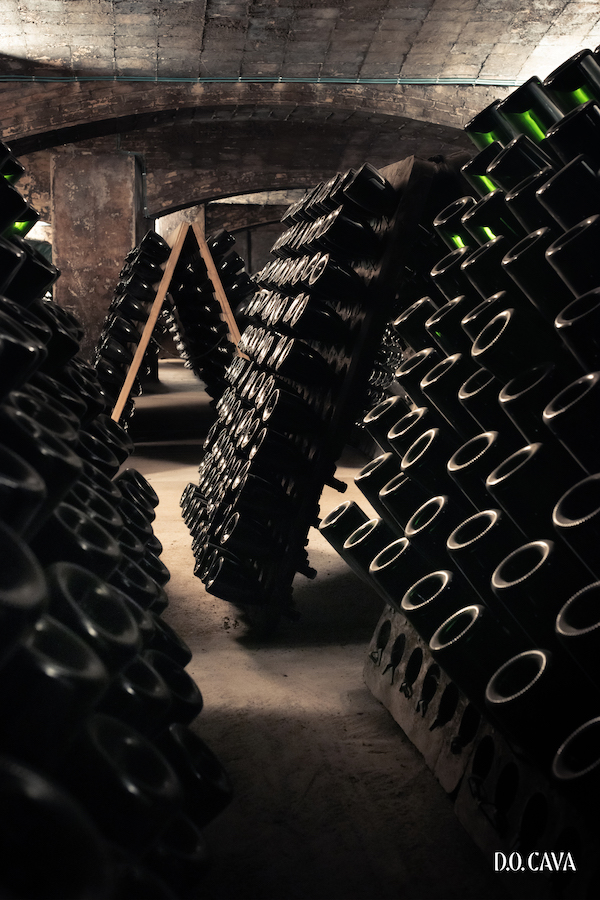 Sparkling bottles in a dark wine cave