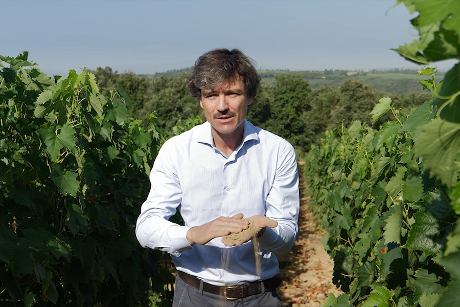 Andrea Lonardi stands in the vineyard
