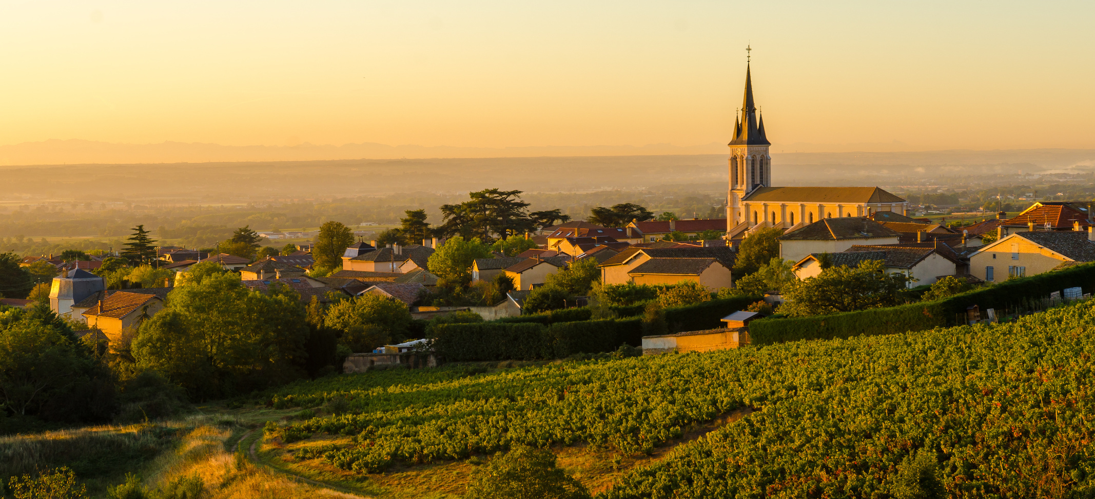 The Unexpected Complexities of Winemaking in Beaujolais