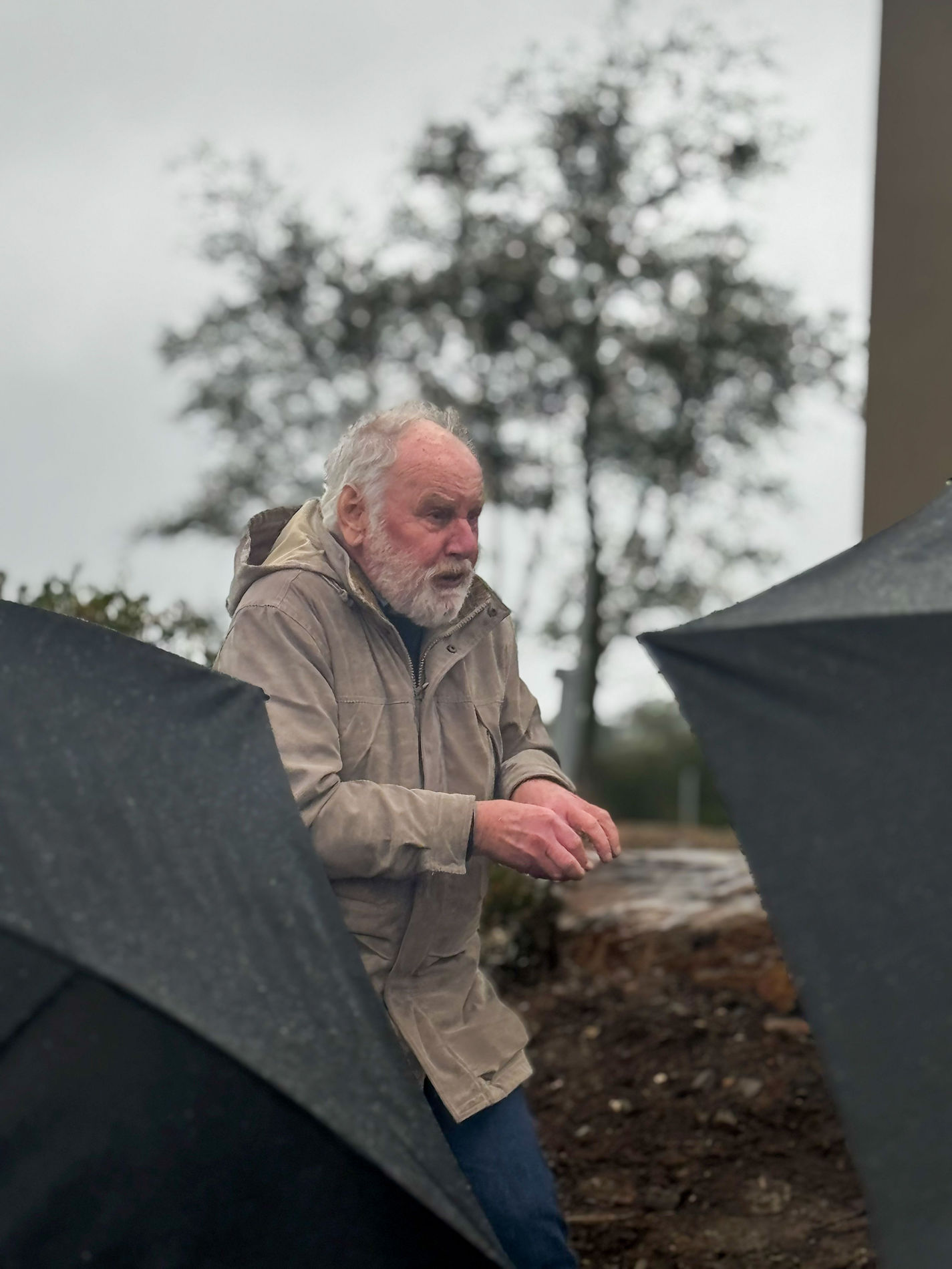 Man in coat crouches in vineyard behind umbrellas