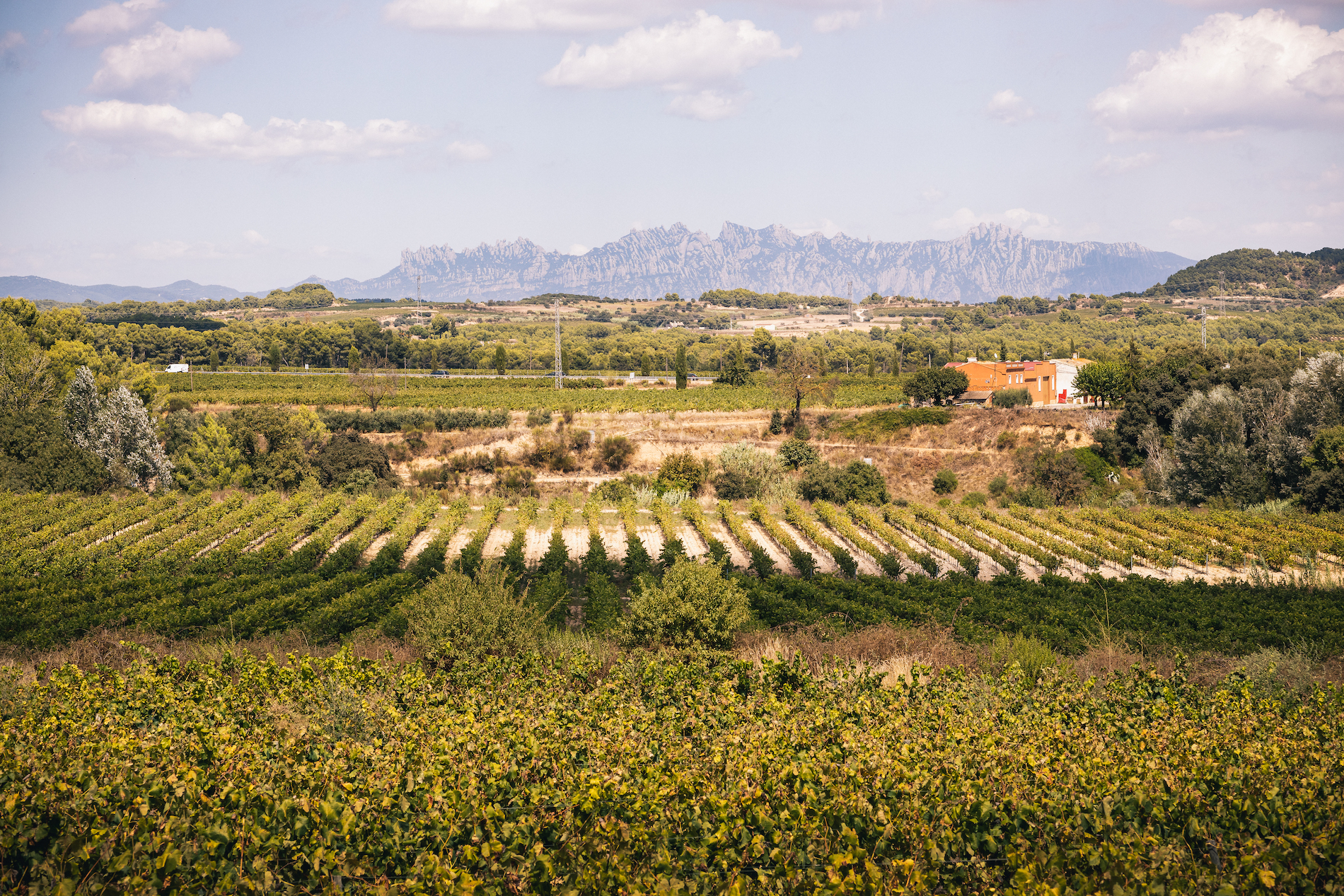 Cava E-Learning