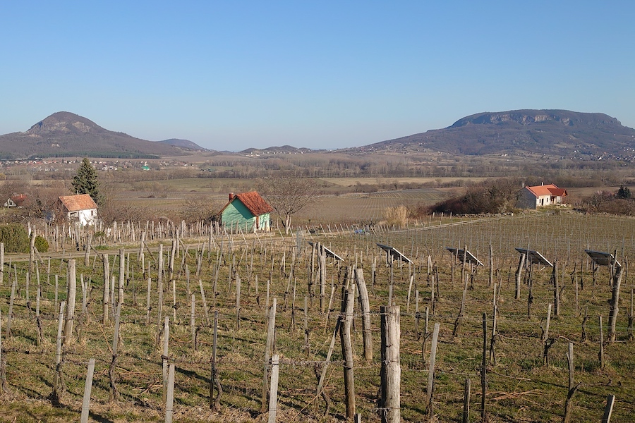 Hungarian Wine Regions in the Shadows