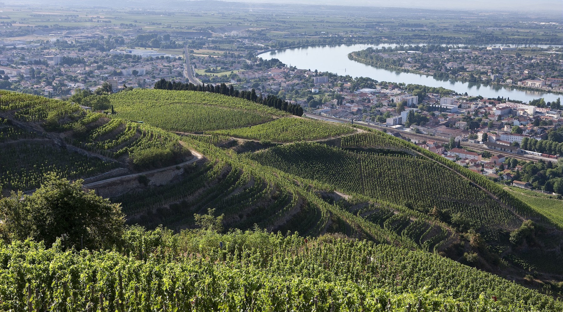 Rhône Valley
