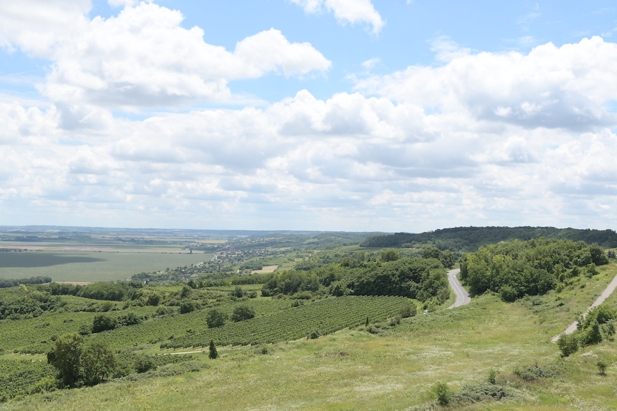 Green hills with vineyards under blue sky with puffy clouds