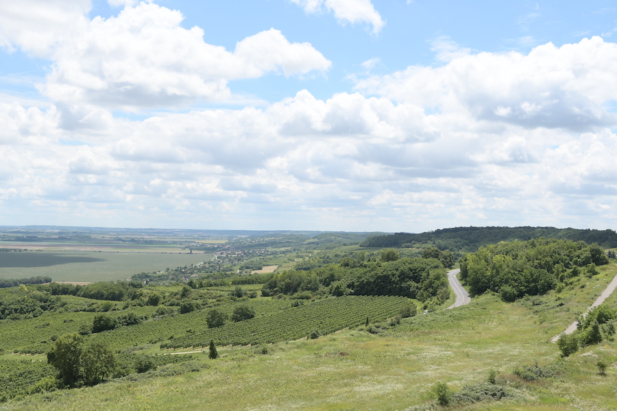 Green hills with vineyards under blue sky with puffy clouds