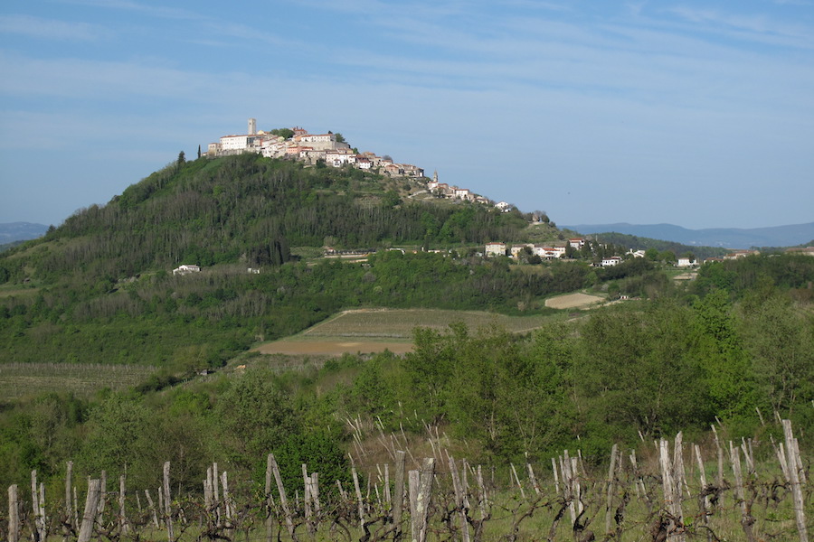 Buildings on green hill with vineyards in the foreground