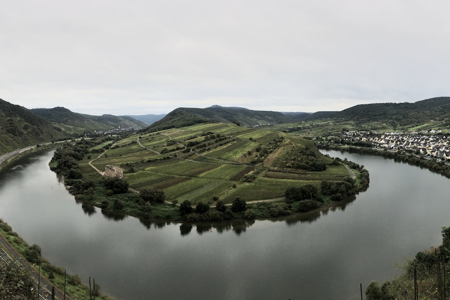 View of green vineyards surrounded by water