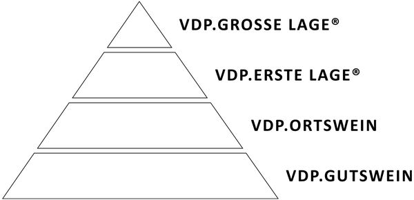 VDP vineyard classification model