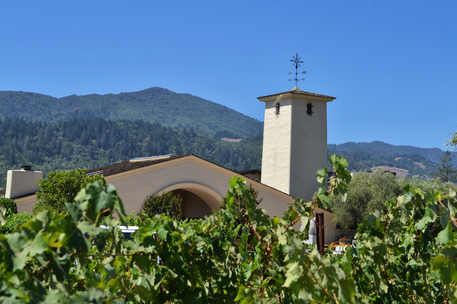 A History of Winery Consolidation in America