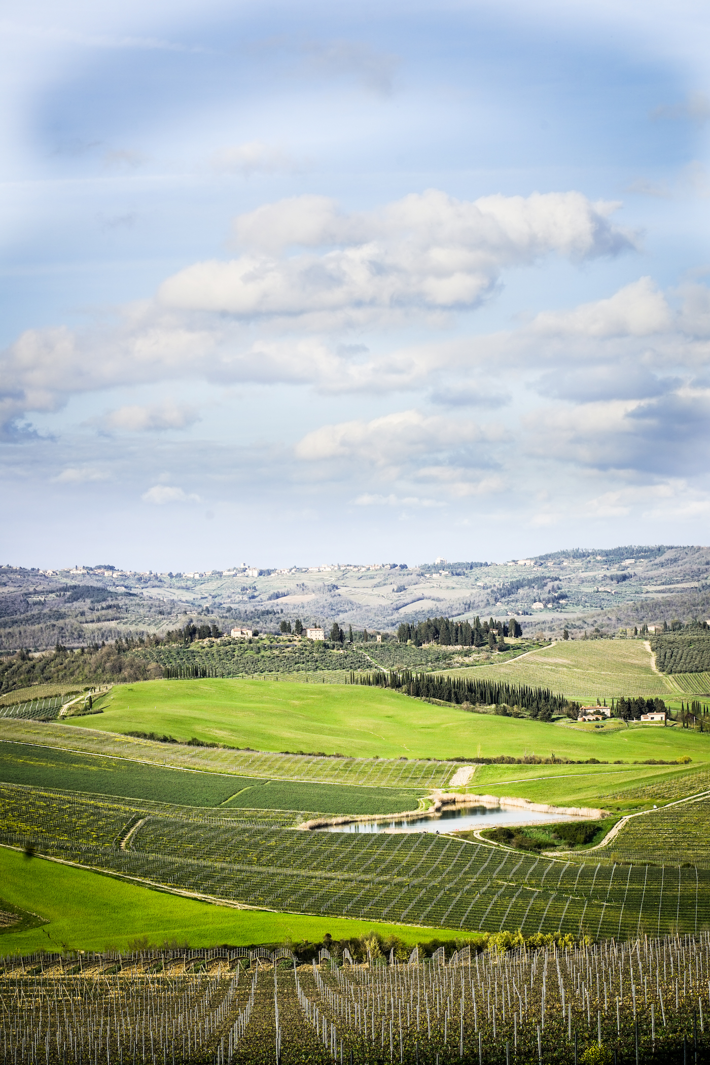 Vineyards in the foreground, bright green hills in the distance, and blue sky with puffy clouds