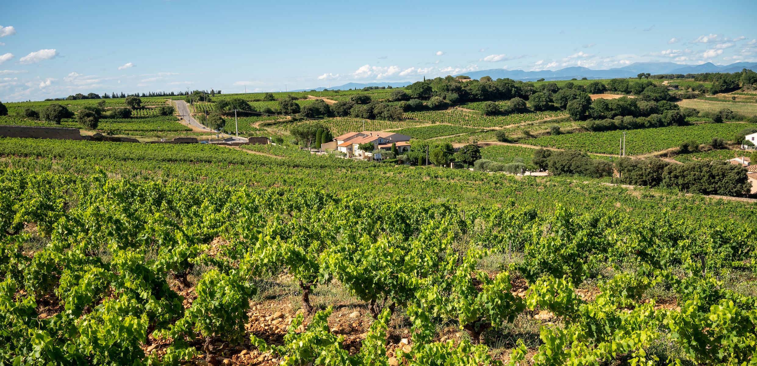 Vintage Decade: Southern Rhône 1990s