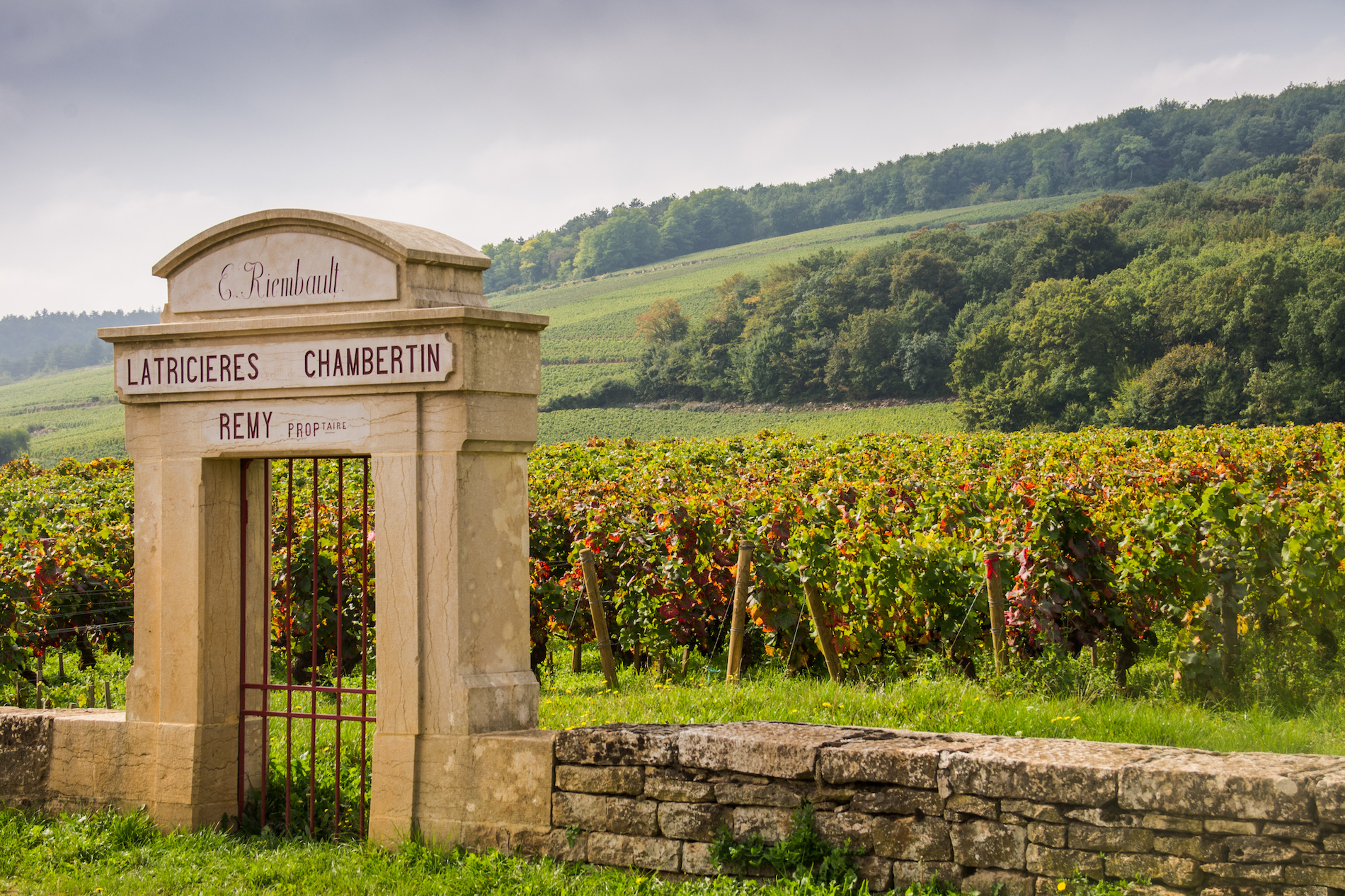 Vintage Decade: Burgundy 1990s