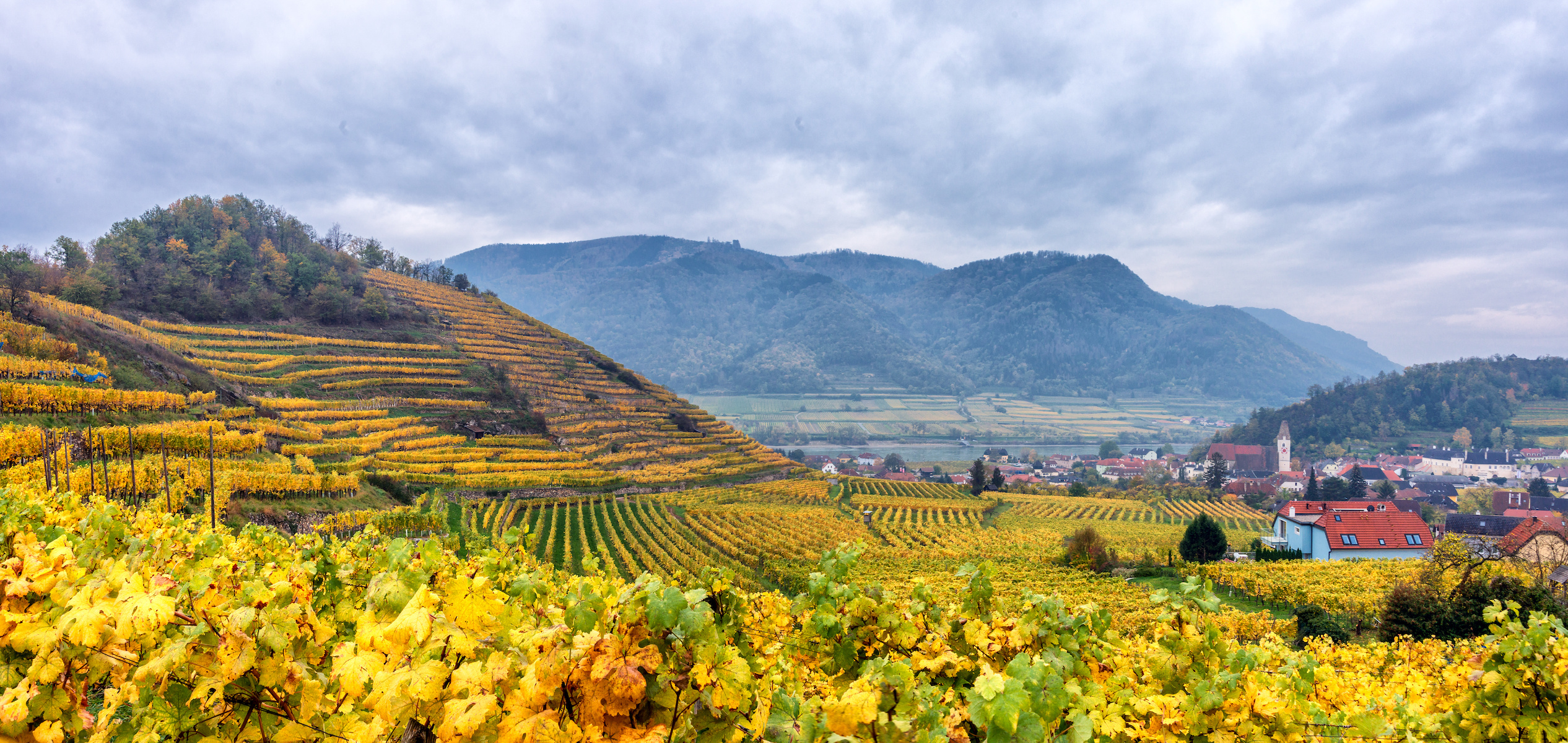 Vintage Decade: Wachau 2000s