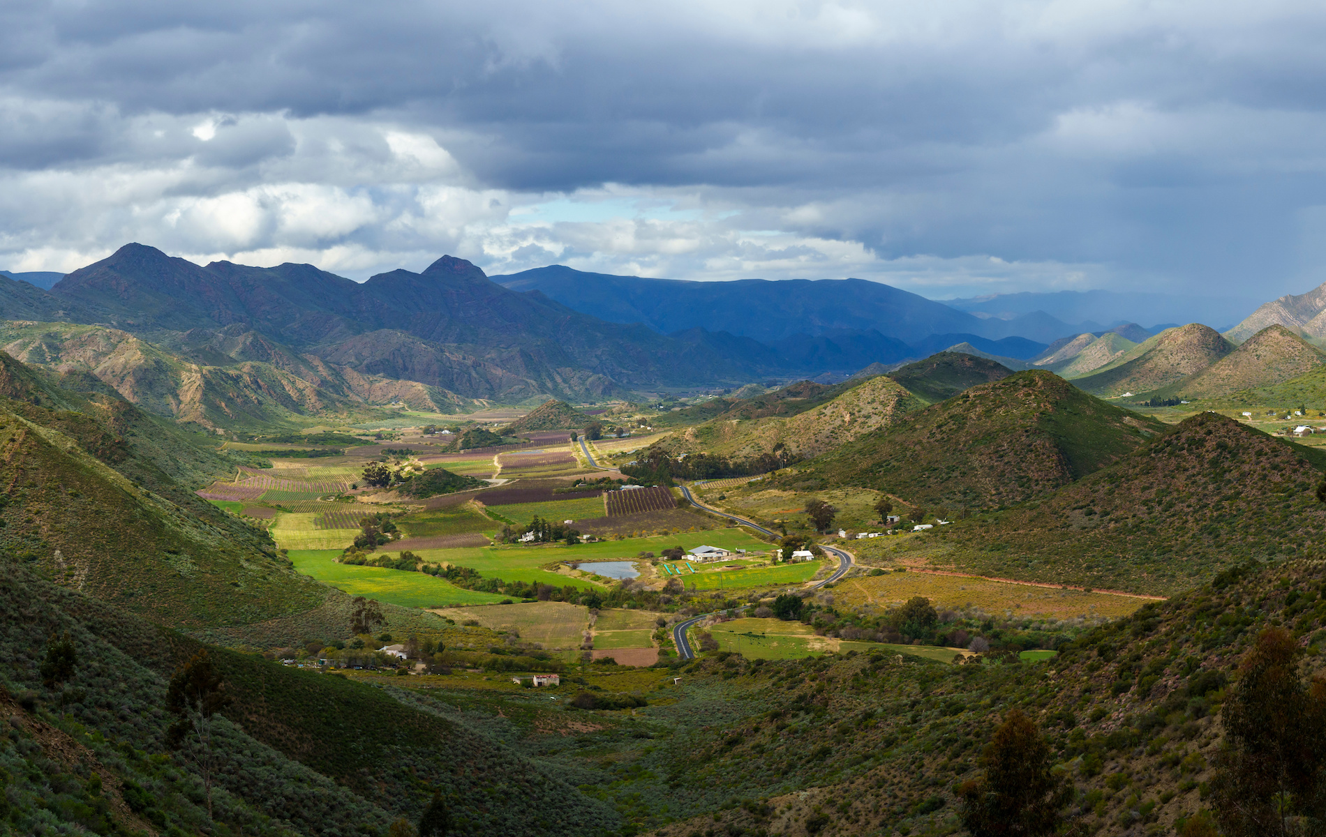 Latest Updates: Cava, Médoc, and South Africa