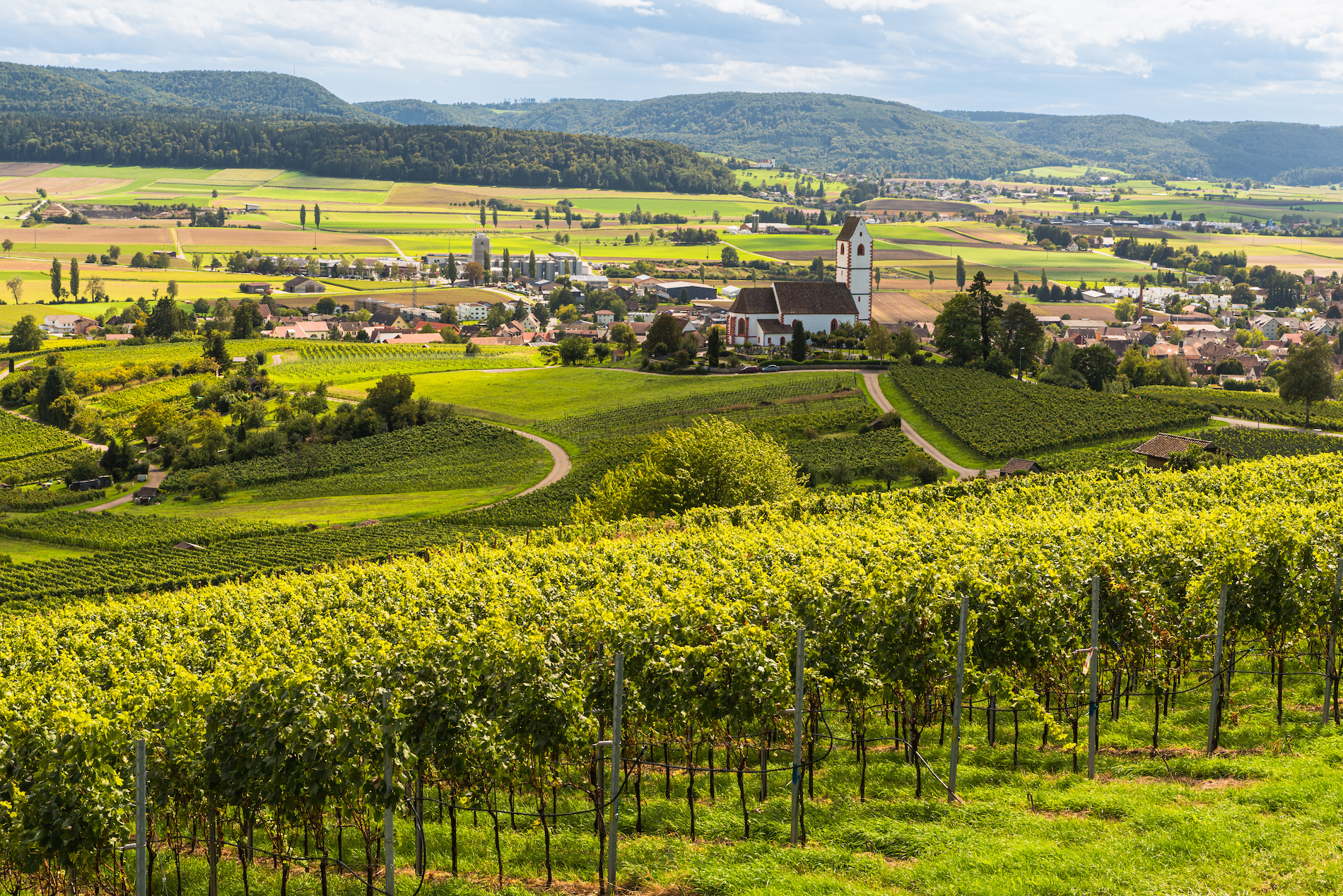 Latest Updates: German-Speaking Switzerland and New AVAs