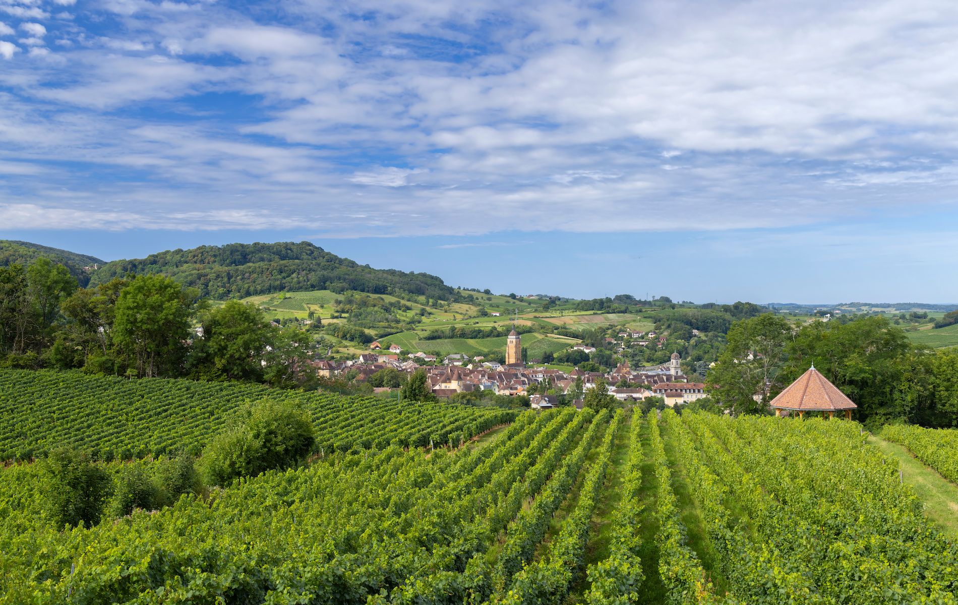 Decoding Jura&#39;s Wine Styles