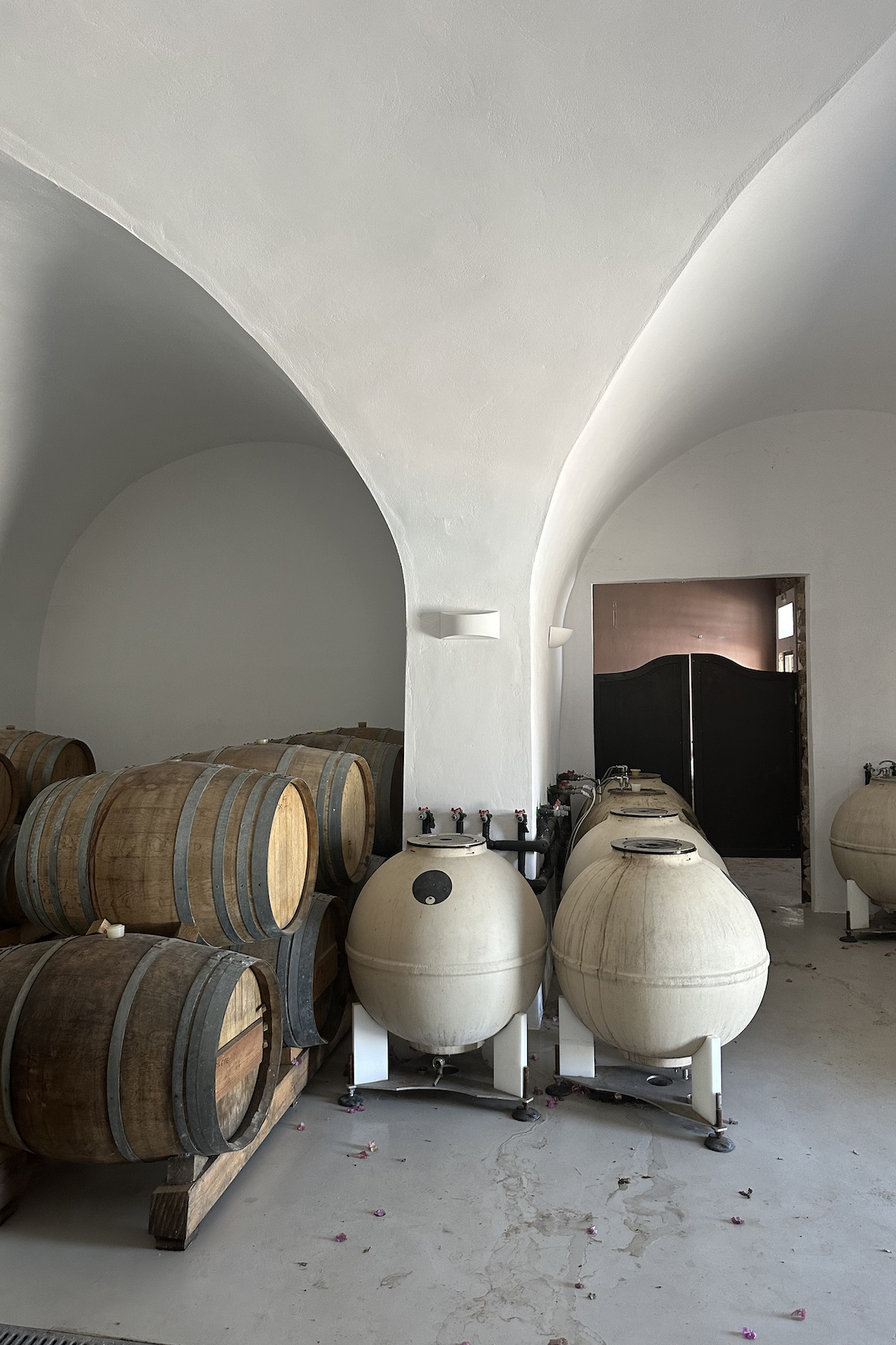 Sparce cellar room with concrete globes and wood barrels