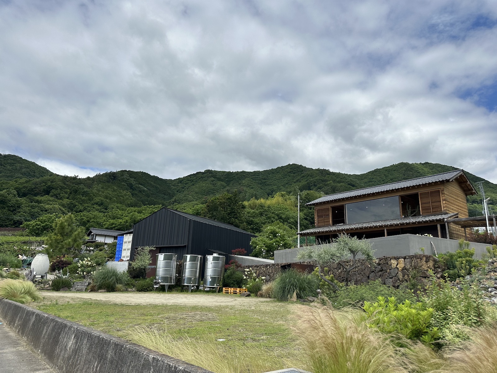 Winery buildings tucked into a hillside