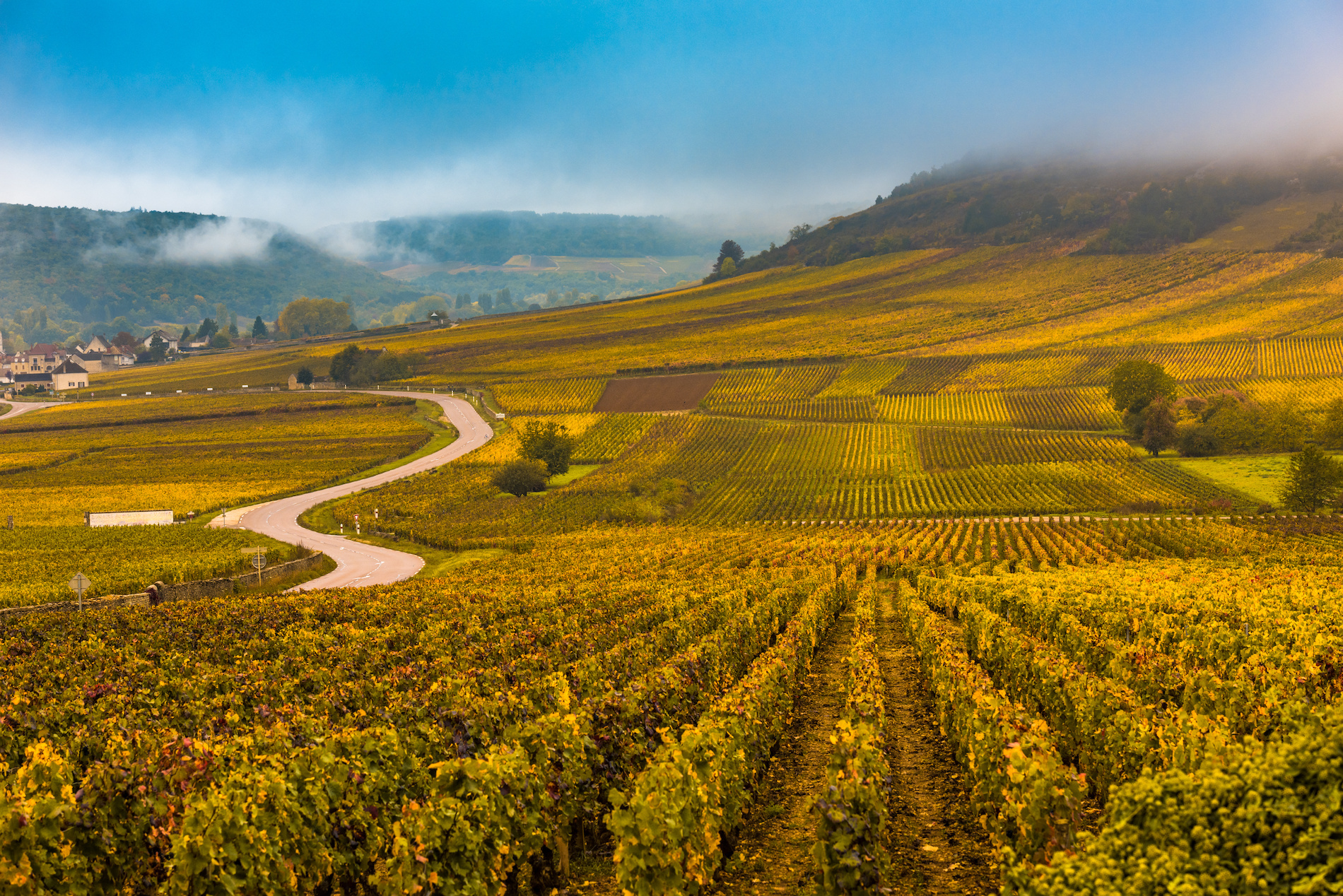 An Introduction to the Côte d’Or: Land, Geology, and Climate