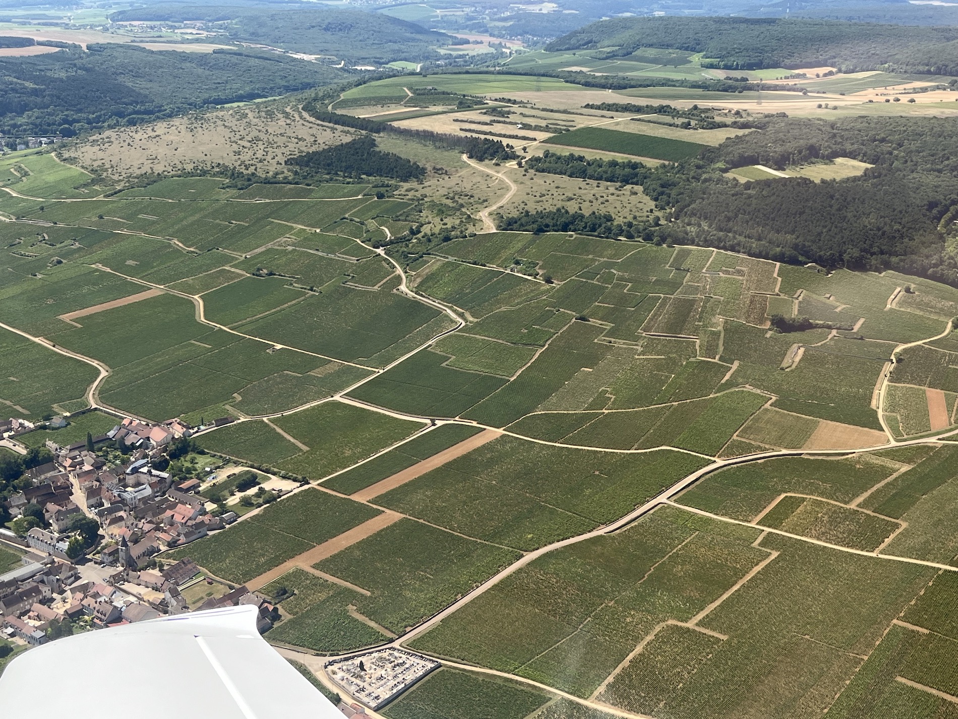Arial view of the Cote d'Or, with a pachwork of green vineyards, darker green trees, and brown roads.