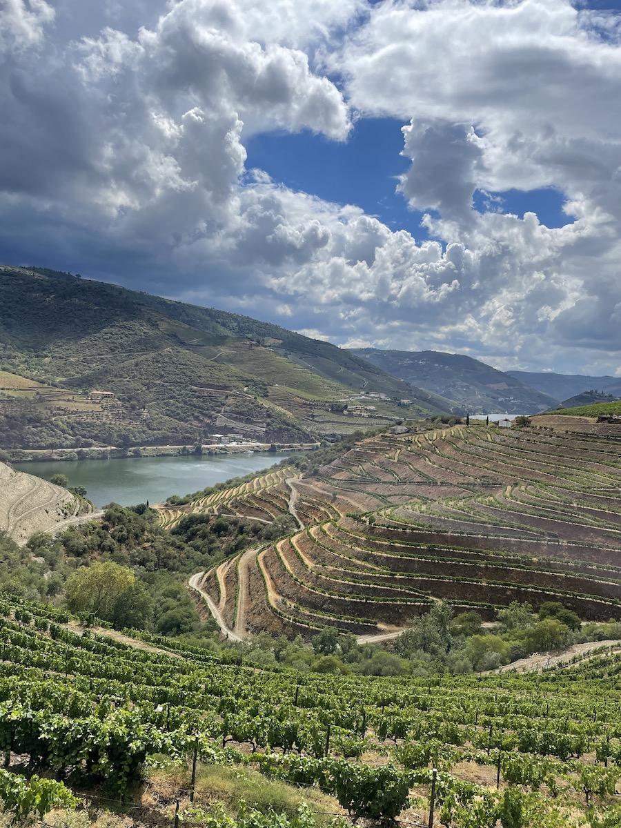 Hills, vineyards, and distant body of water under blue skies