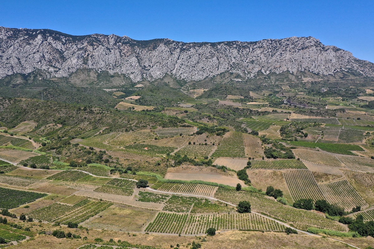 Mountains with vineyards spread out below