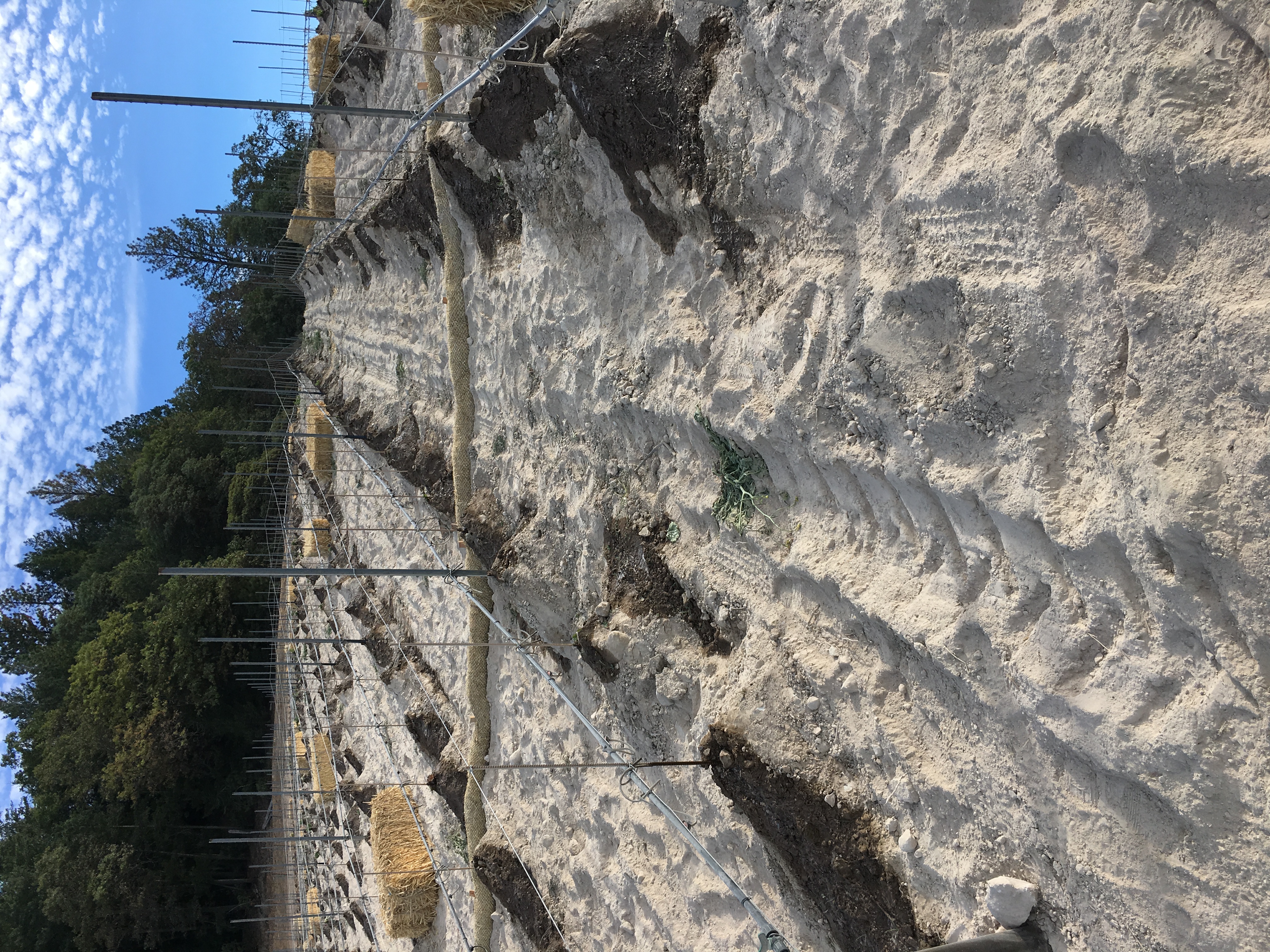Liming Soil