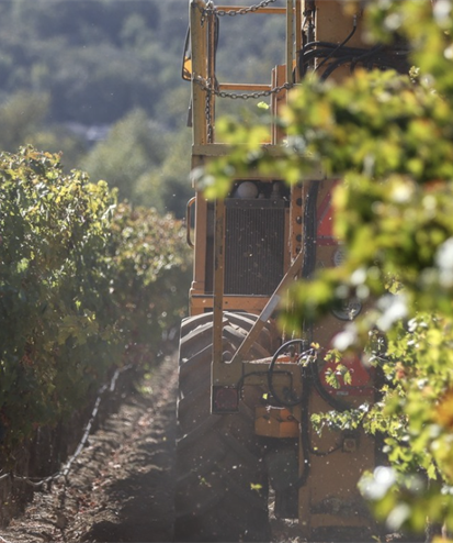 AVAs of Sonoma County – Miami