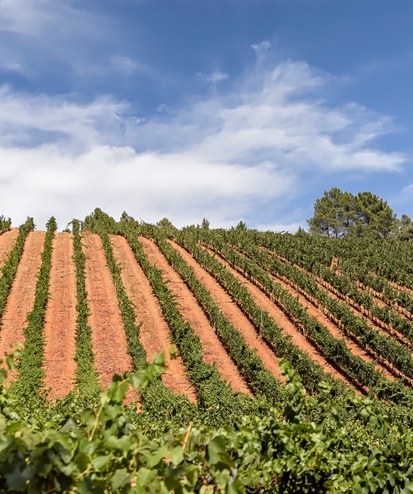 Napa Valley Seminar | Mexico City