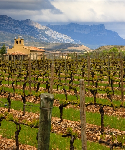 Rioja Wines Seminar | NYC