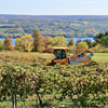 Exploring Riesling with Fred Merwarth