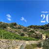 2023 Year in Review