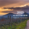 2025 Year in Review
