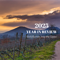 2025 Year in Review
