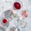 Tasting with GuildSomm: Mia Van de Water