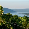 Emerging Wine Regions: Vermont &amp; The Finger Lakes