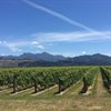 New Zealand with Cameron Douglas