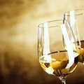 Tasting with MS Jackson Rohrbaugh