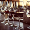 Tasting with Tori Testa