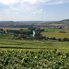 Sustainability in Champagne