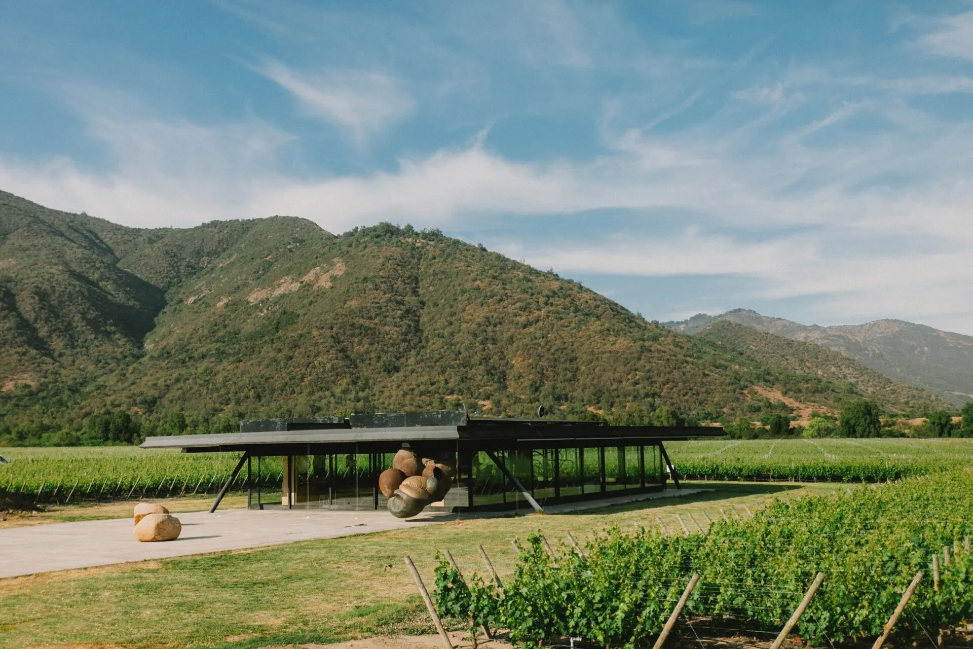 Chile with Amanda Barnes MW