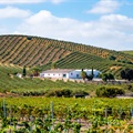 Spain with MW Sarah Jane Evans