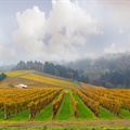 Oregon and Method Sparkling with MW Bree Stock