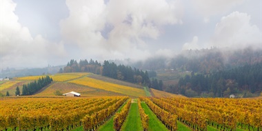 Oregon and Method Sparkling with MW Bree Stock